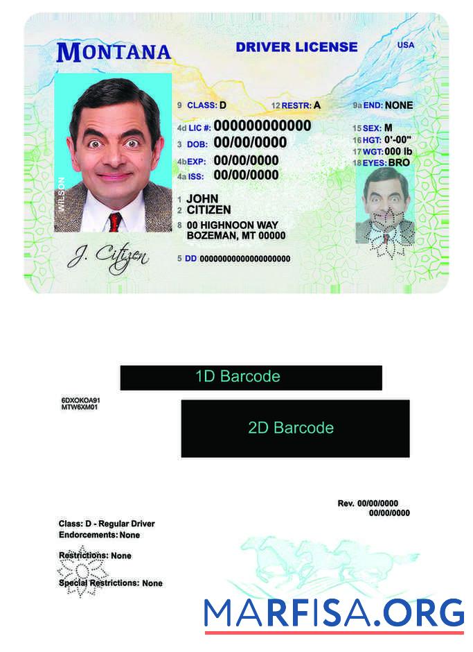 Downloadable USA Montana driving license example